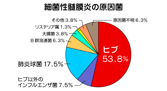 細菌性髄膜炎の原因菌