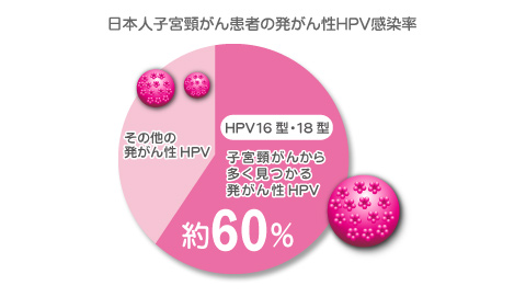 日本人子宮頸がん患者の発がん性HPV感染率