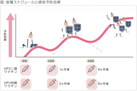 接種スケジュールと感染予防効果